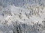 Avalanche in Wyoming | Photo Credit: Bridger Teton Avalanche Center