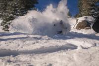 Mammoth 3