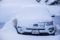Photo Credit (+Cover Photo): Mammoth Facebook Page