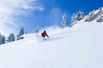 Skier: Scotty Wobbles | Photo Credit: Mt Rose Facebook Page