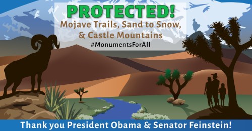 Photo Credit: Photo Credit: Campaign for the California Desert Facebook Page