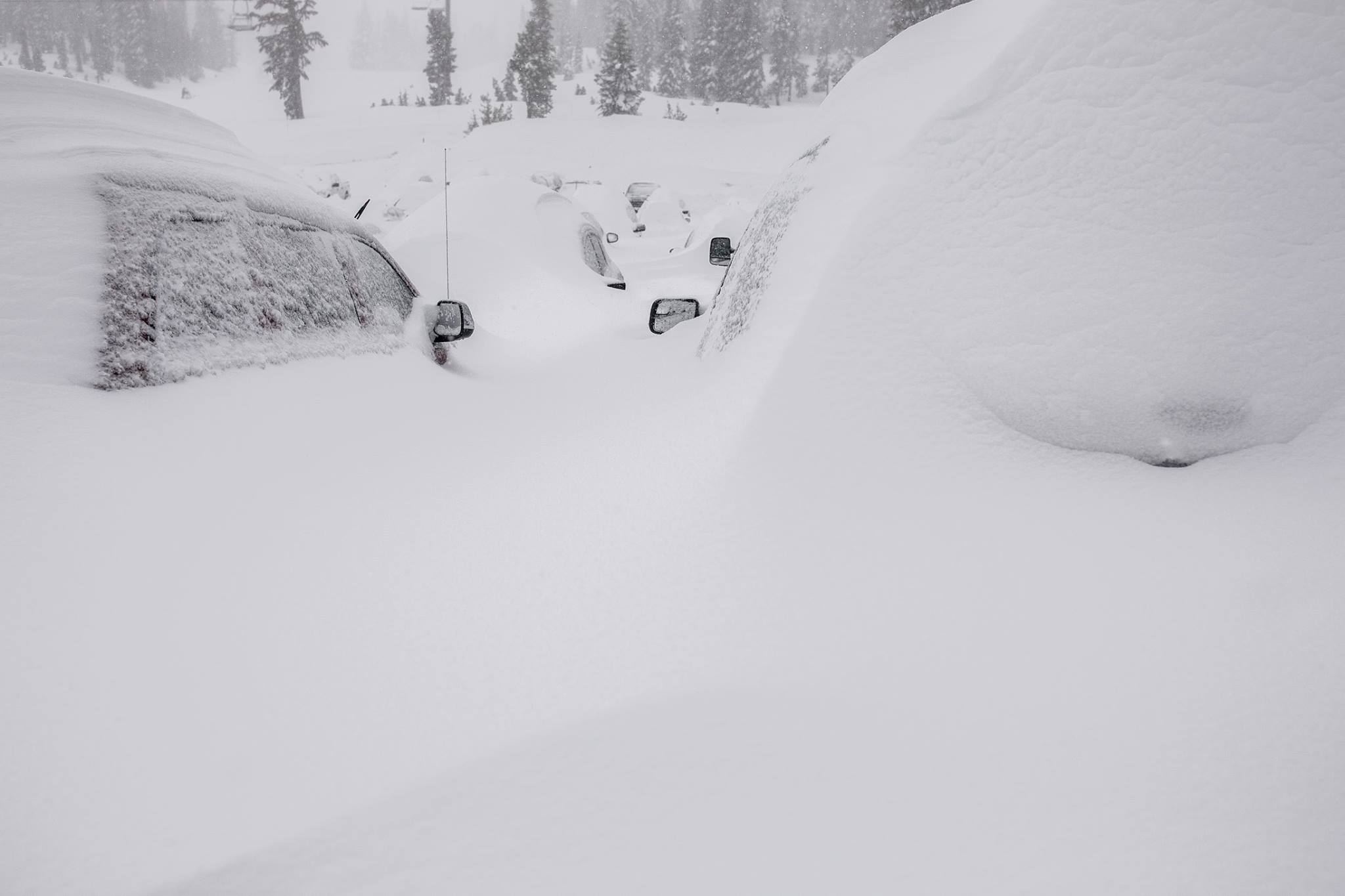 Mammoth 2