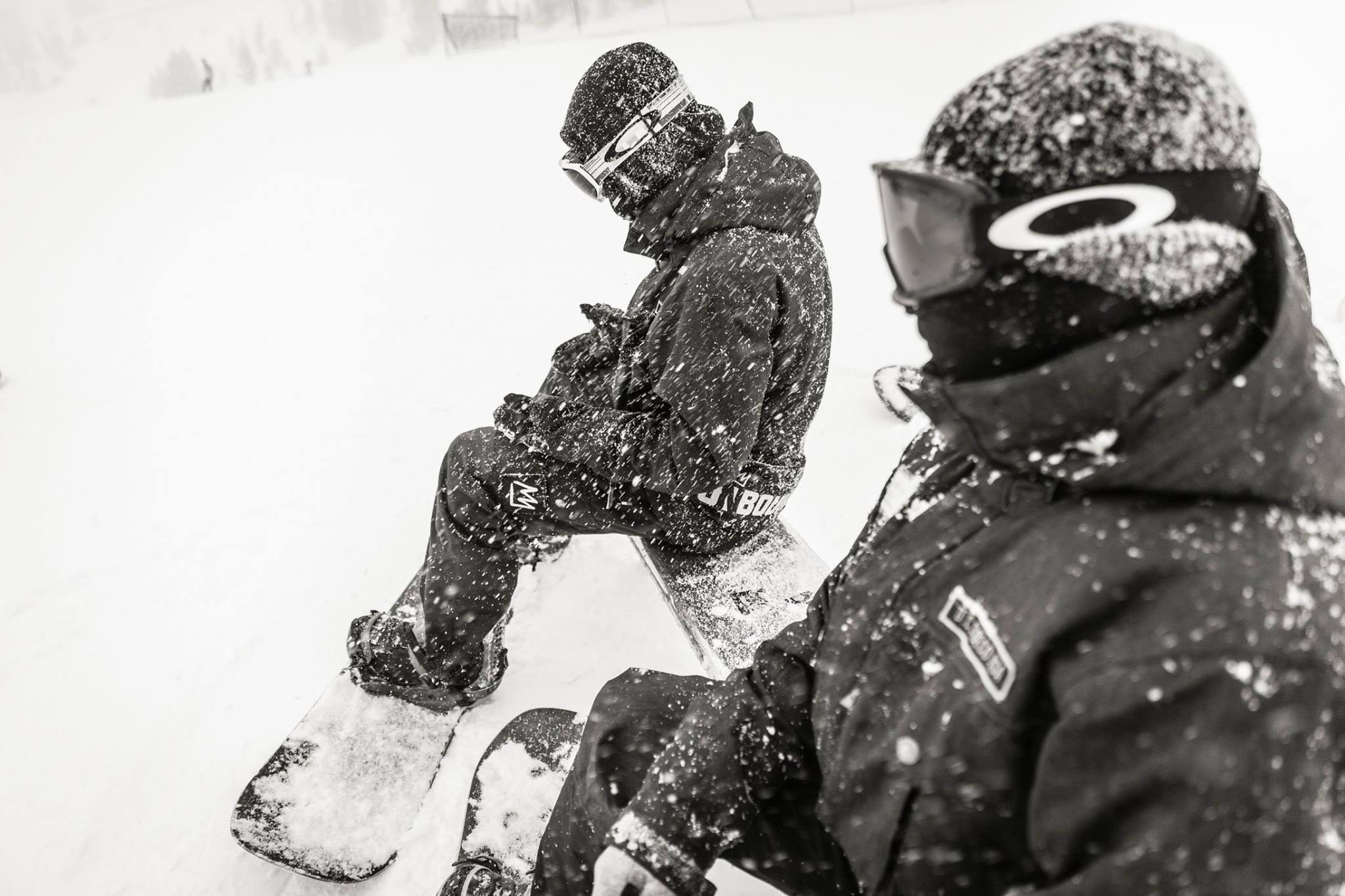 Mammoth 3
