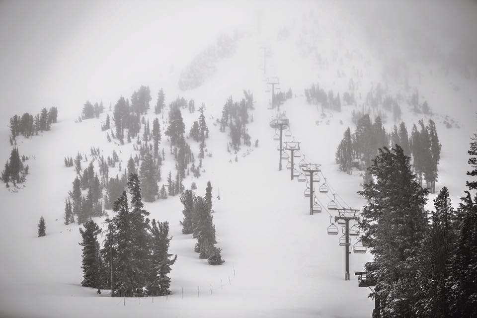 Mammoth
