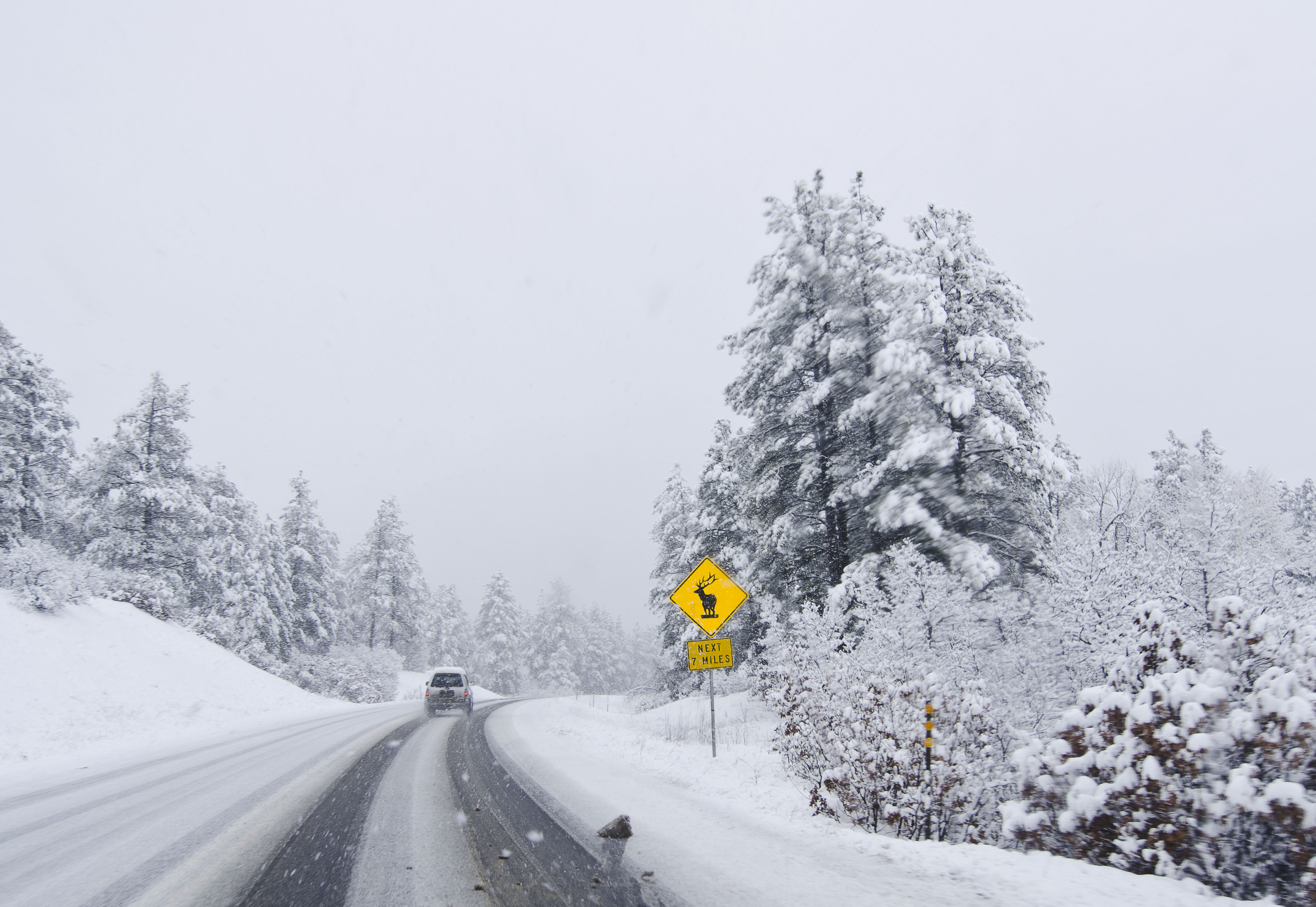 Maybe changing out the snow tires wasn't the best idea | Photo Credit: 