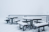 Photo Credit: Mt Rose Facebook Page