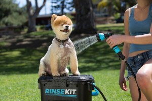 RinseKit-Pomeranian-Closeup-1000px