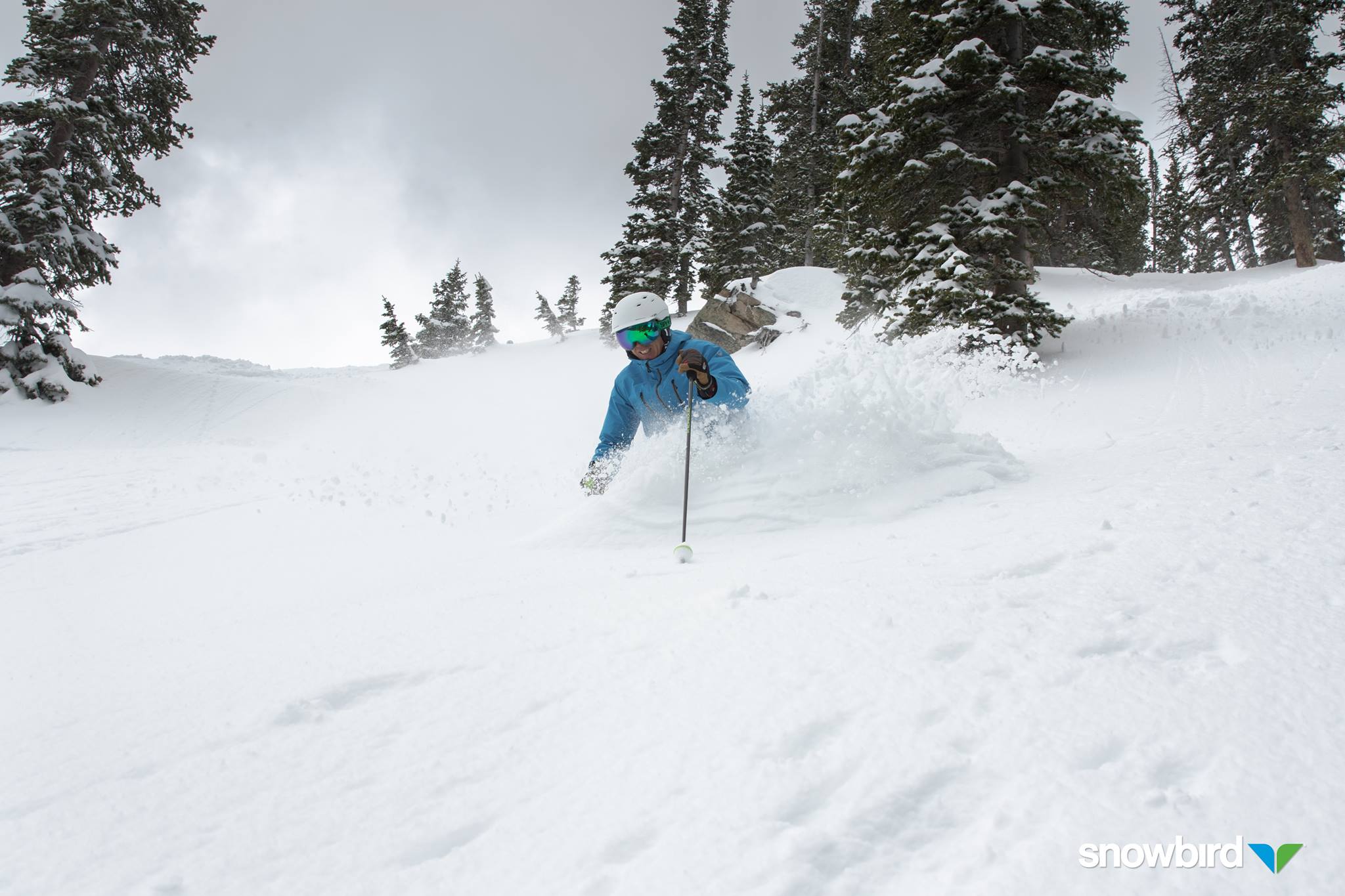 "The Bird" as of April 29th | Photo Credit: Snowbird 