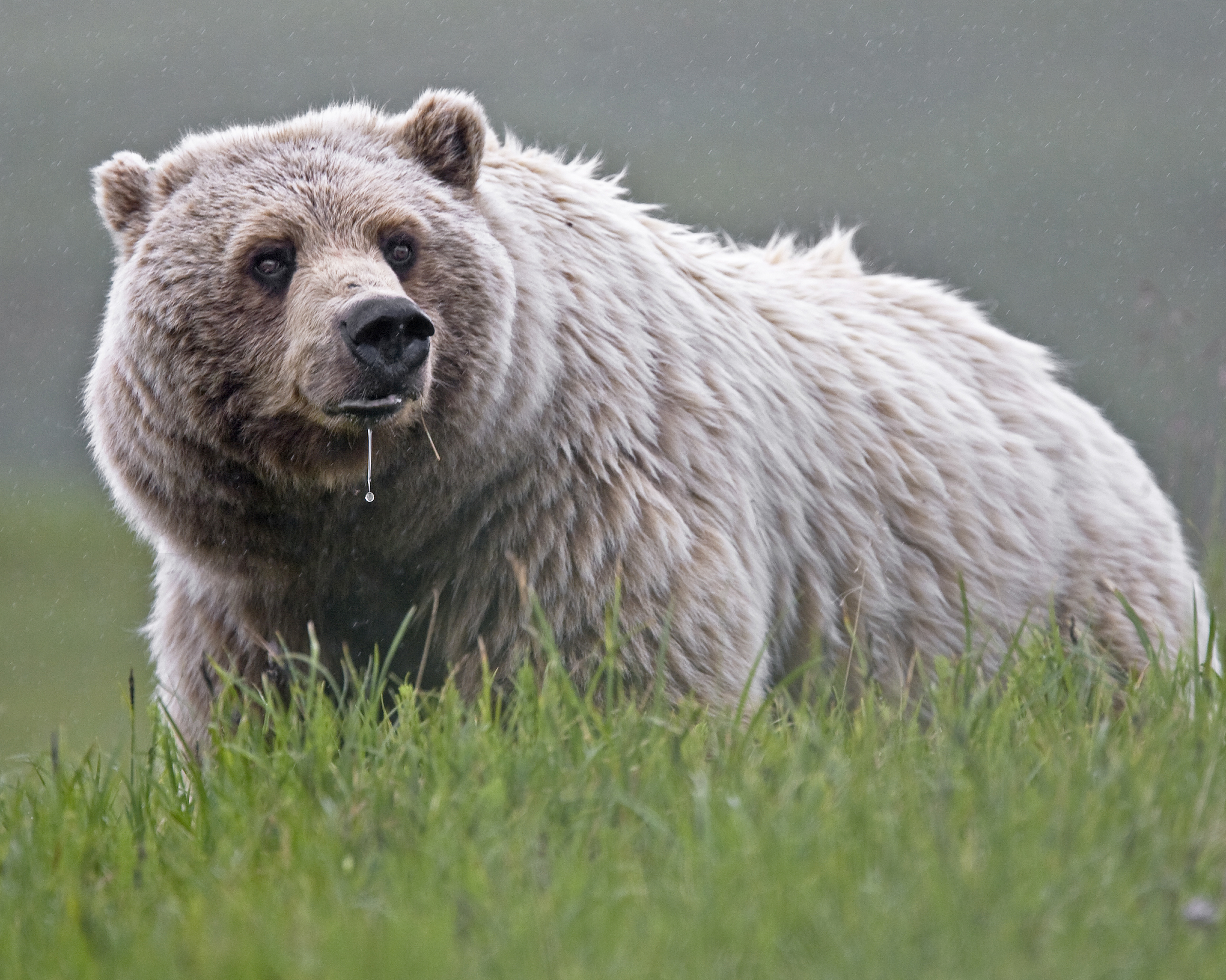 Photo Credit: NPS