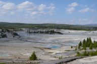 Norris Geyser Basin 2