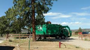 garbage truck bear