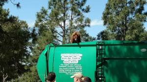 garbage truck bear