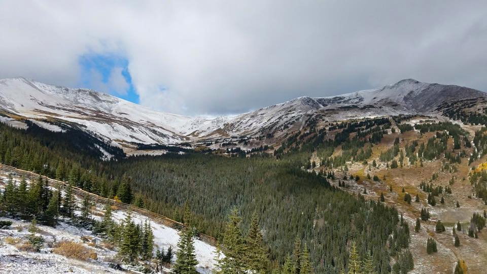 breck