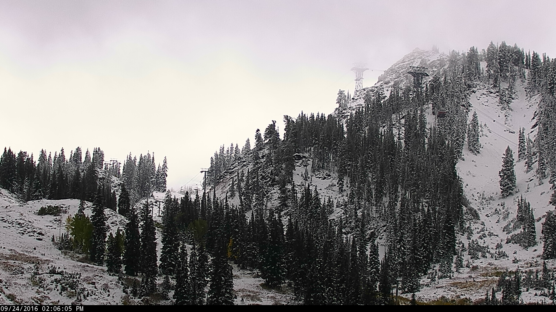 snowbird-2