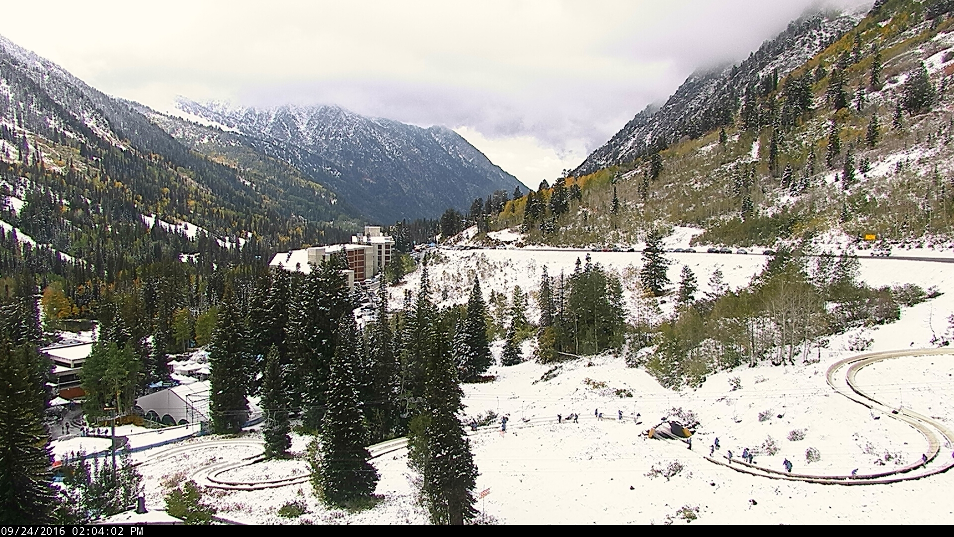 snowbird