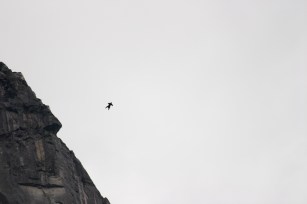 Wingsuiting has become a staple amongst hardcore Chamonix residents | Photo Credit: