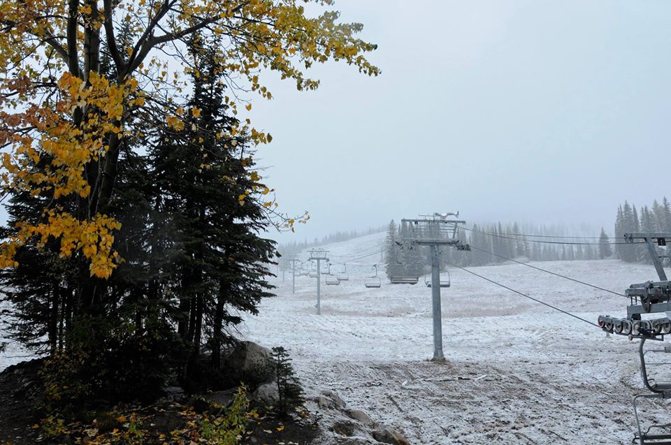 schweitzer