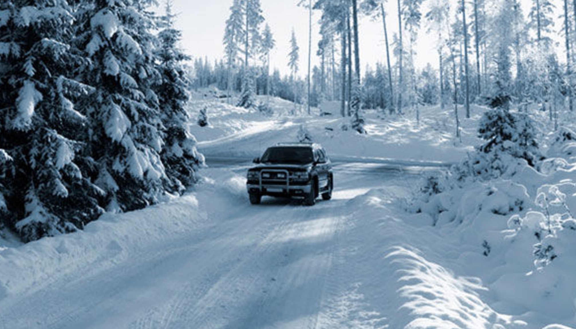 How To Stay Safe While Driving Mountain Roads… | Unofficial Networks