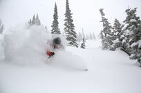 Photo Credit: Steamboat Powder Cats