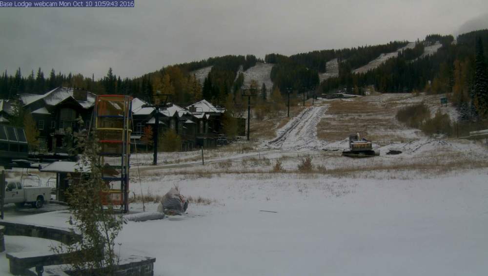 whitefish-2