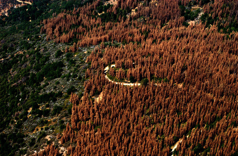 Photo: USFS