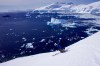 With the penguins at watch below, Andrew Eisenstark drops into an afternoon buffet of prime Antarctic corn.