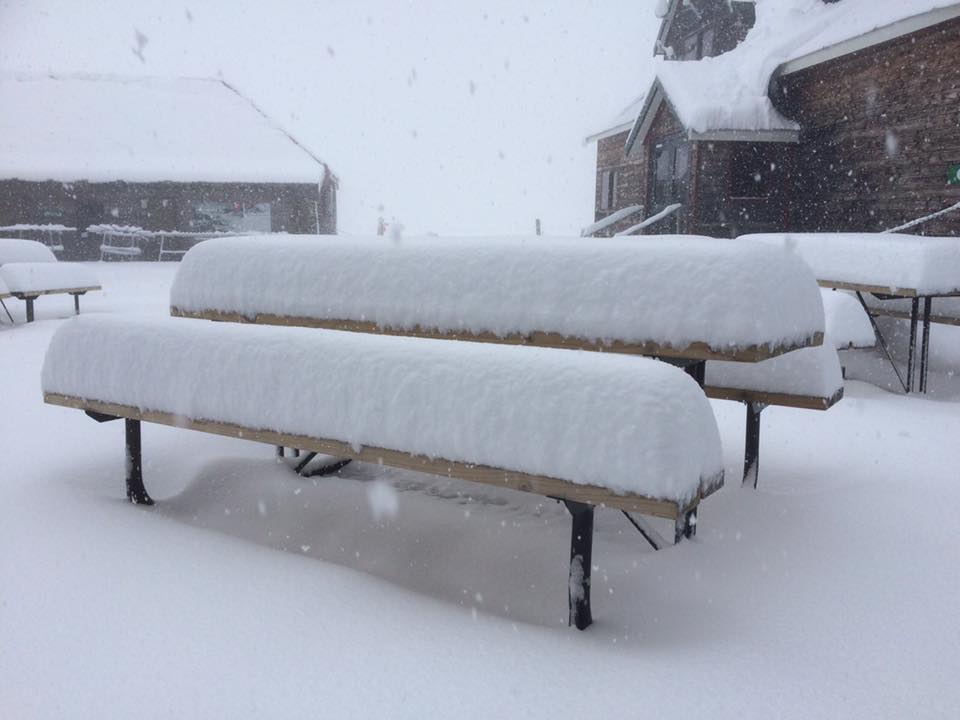 Summer Snowfall