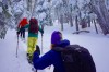 Jeremy Frumkin, Ming Poon, and Michelle Parker zig-zig frosty trees en route to another blissful lap in the Tahoe Backcountry.