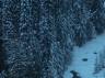 Canyon Creek | Photo Credit (+Cover Photo): GADSAR