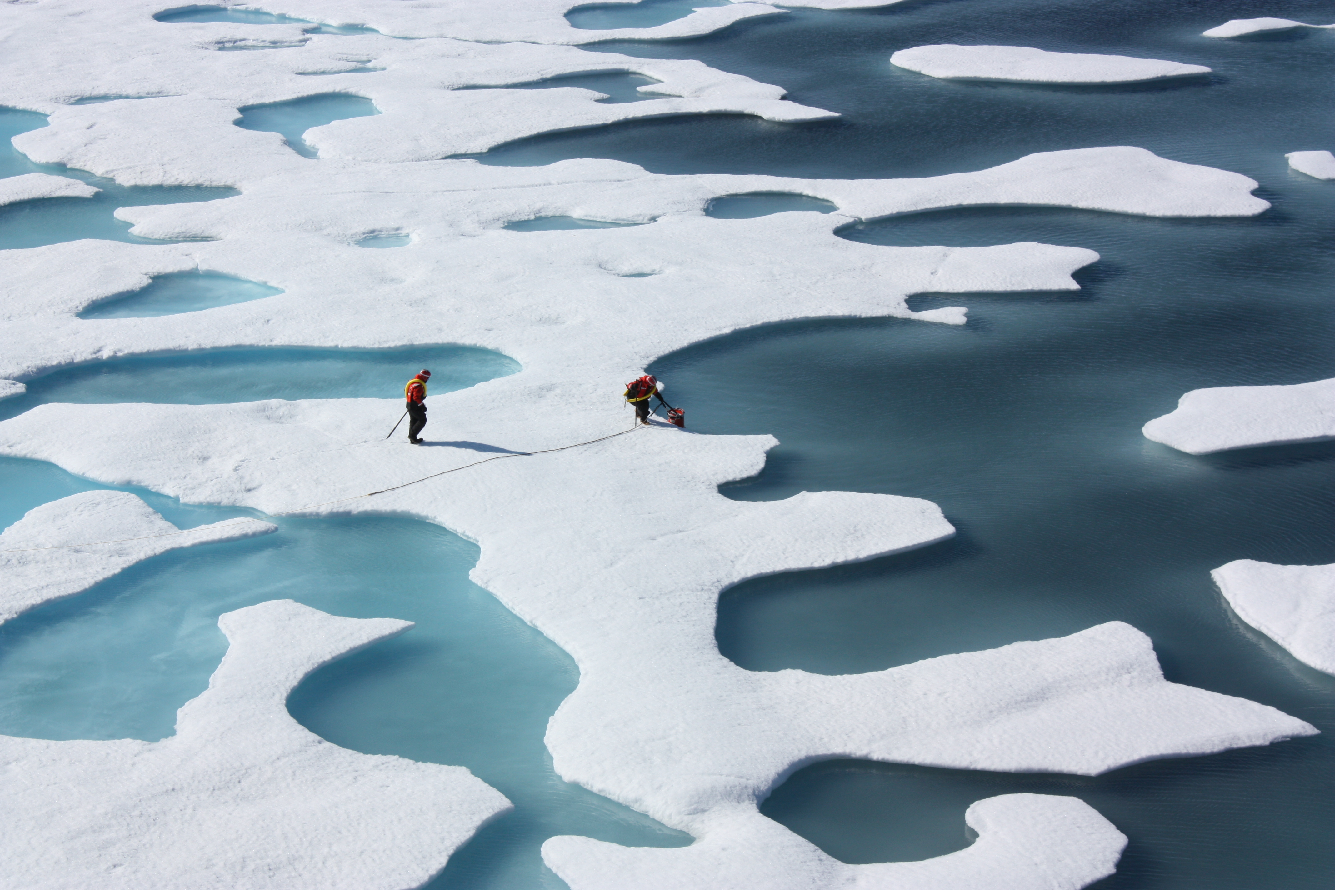 Plastic Pollution Now Being Found In Arctic Ice Sheet - Unofficial Networks