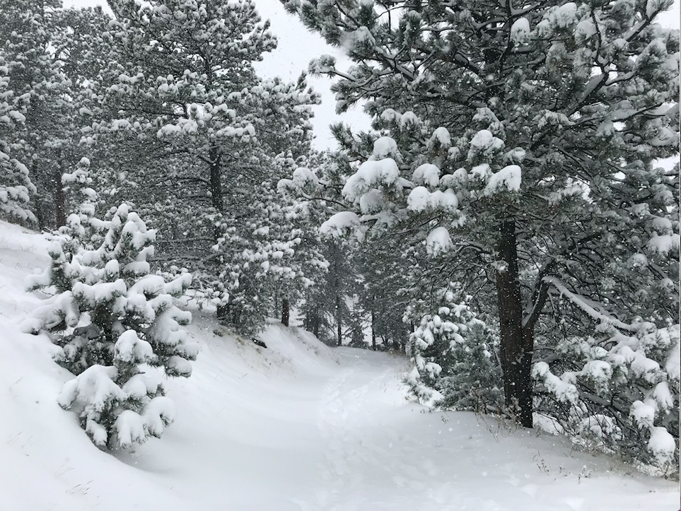 10-18 Forecasted For New Mexico By Tuesday 