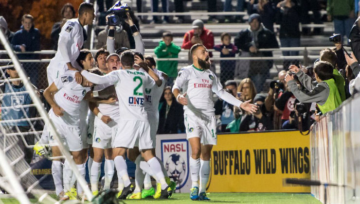 Cosmos Celebrating