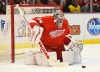 Petr Mrazek has been overflowing with confidence. (Jasen Vinlove, USA TODAY Sports)