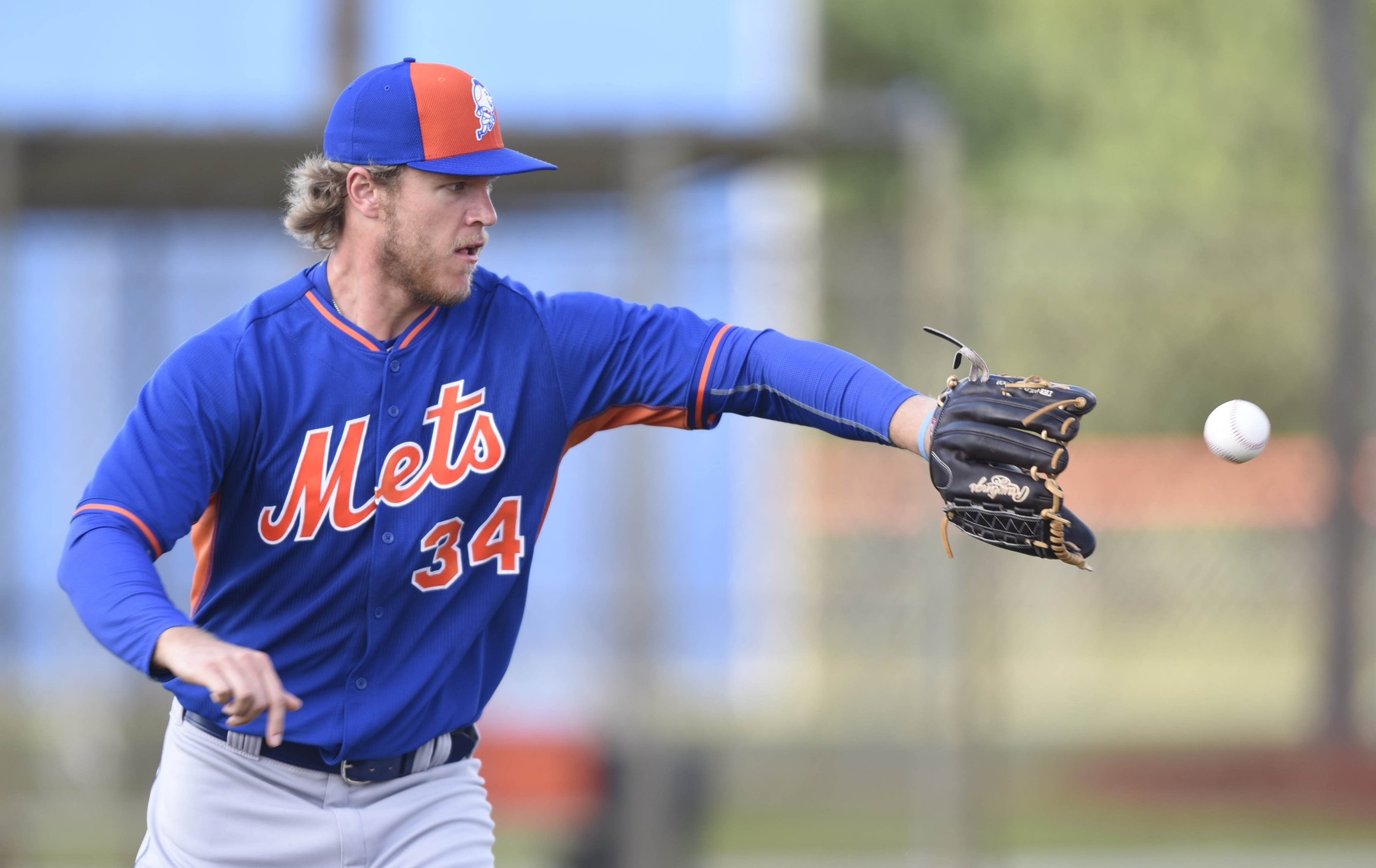 Noah Syndergaard (USA TODAY Sports Images)
