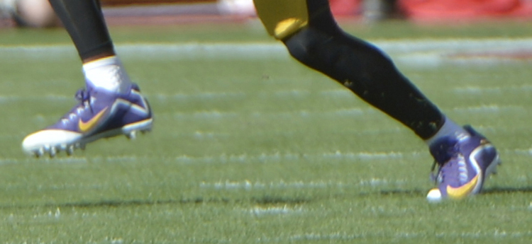 NFL fines Steelers' Williams, Gay for eye black message, purple cleats