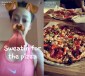 michelle wie pizza