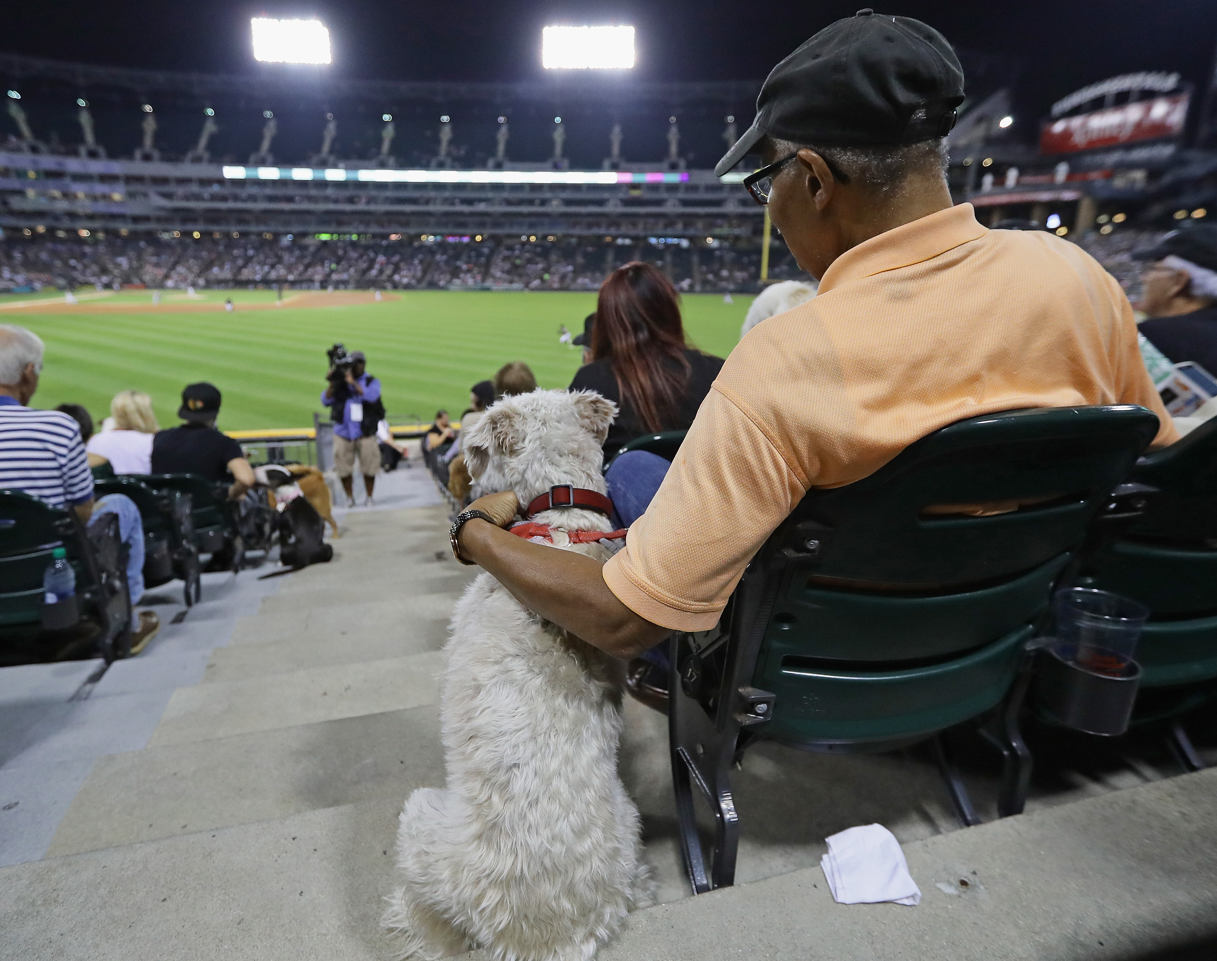 White Sox ‘Bark at the Park’ draws worldrecord number of very good