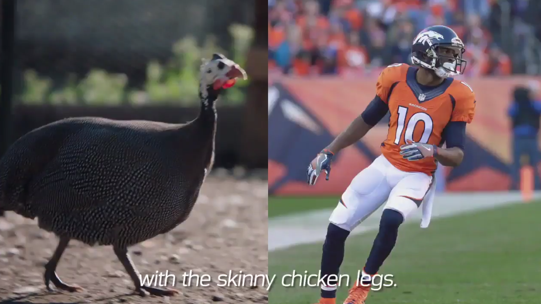 Broncos linebacker Von Miller pursues poultry dream