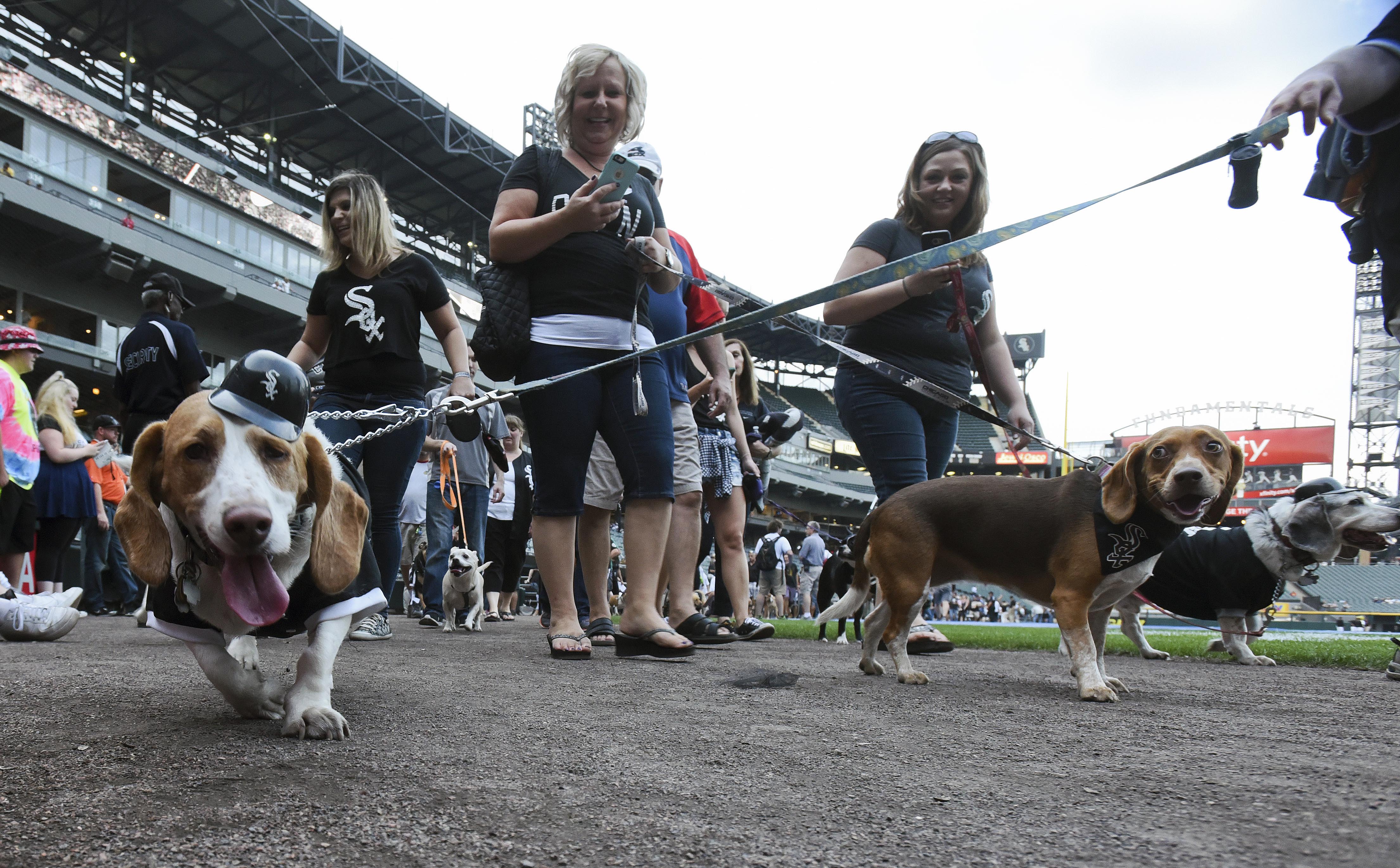 Bark at the Park night at U.S. Cellular 