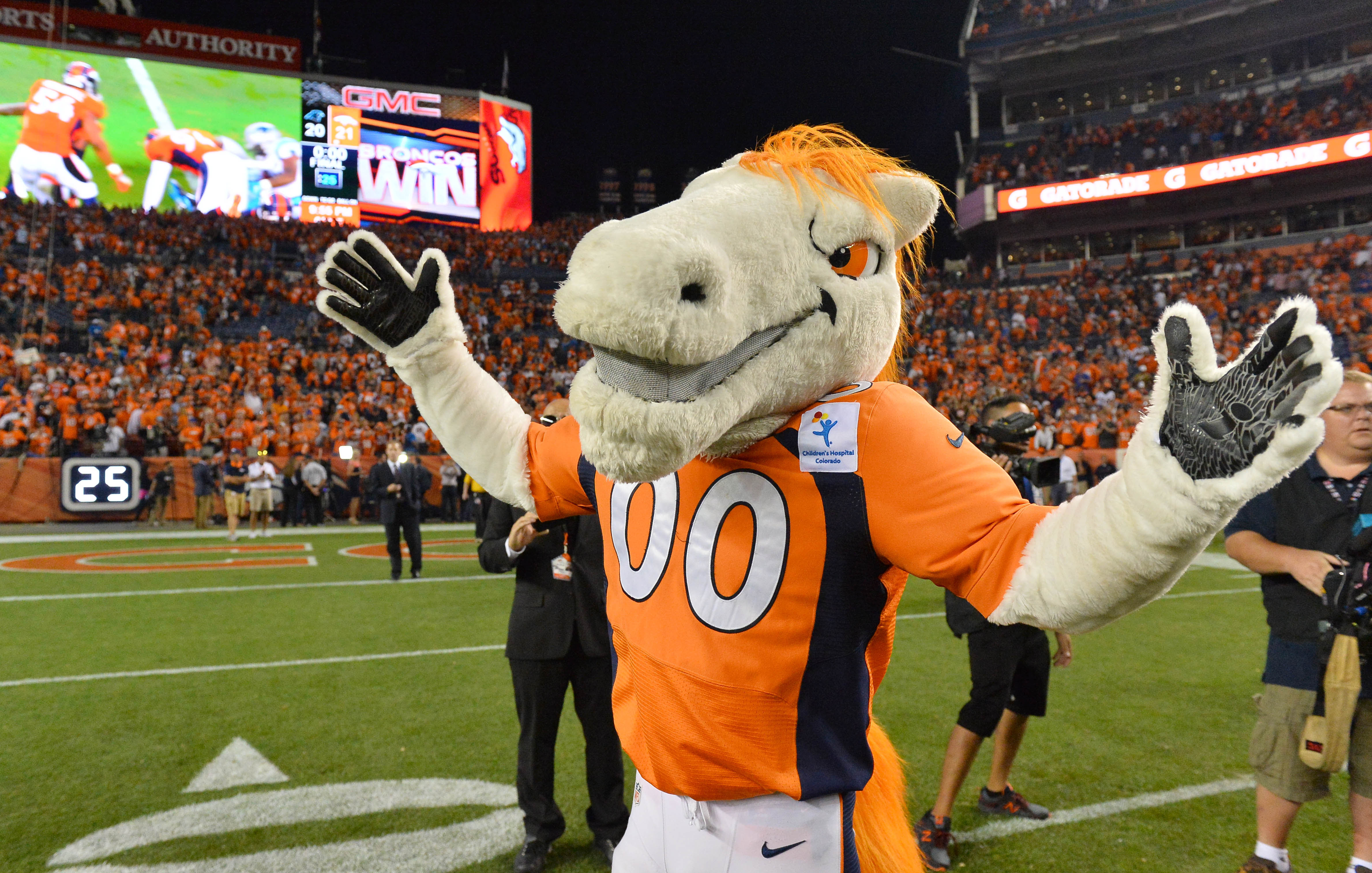 Animal experts pick this week's NFL games based on the ferocity of the  mascots | For The Win