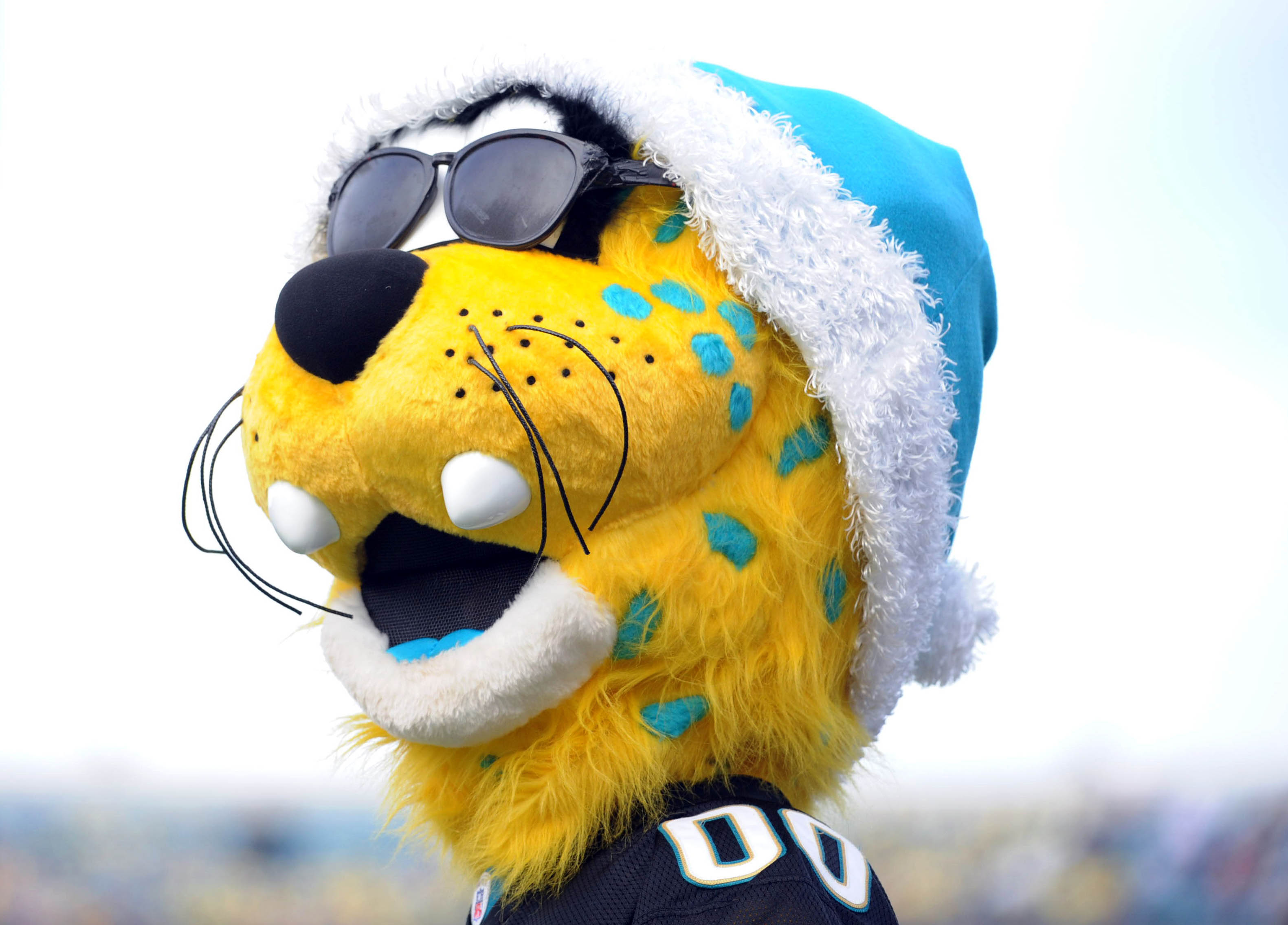 Animal experts pick this week's NFL games based on the ferocity of the  mascots | For The Win