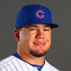 Kyle Schwarber’s terrible beard is the World Series’ most exciting ...