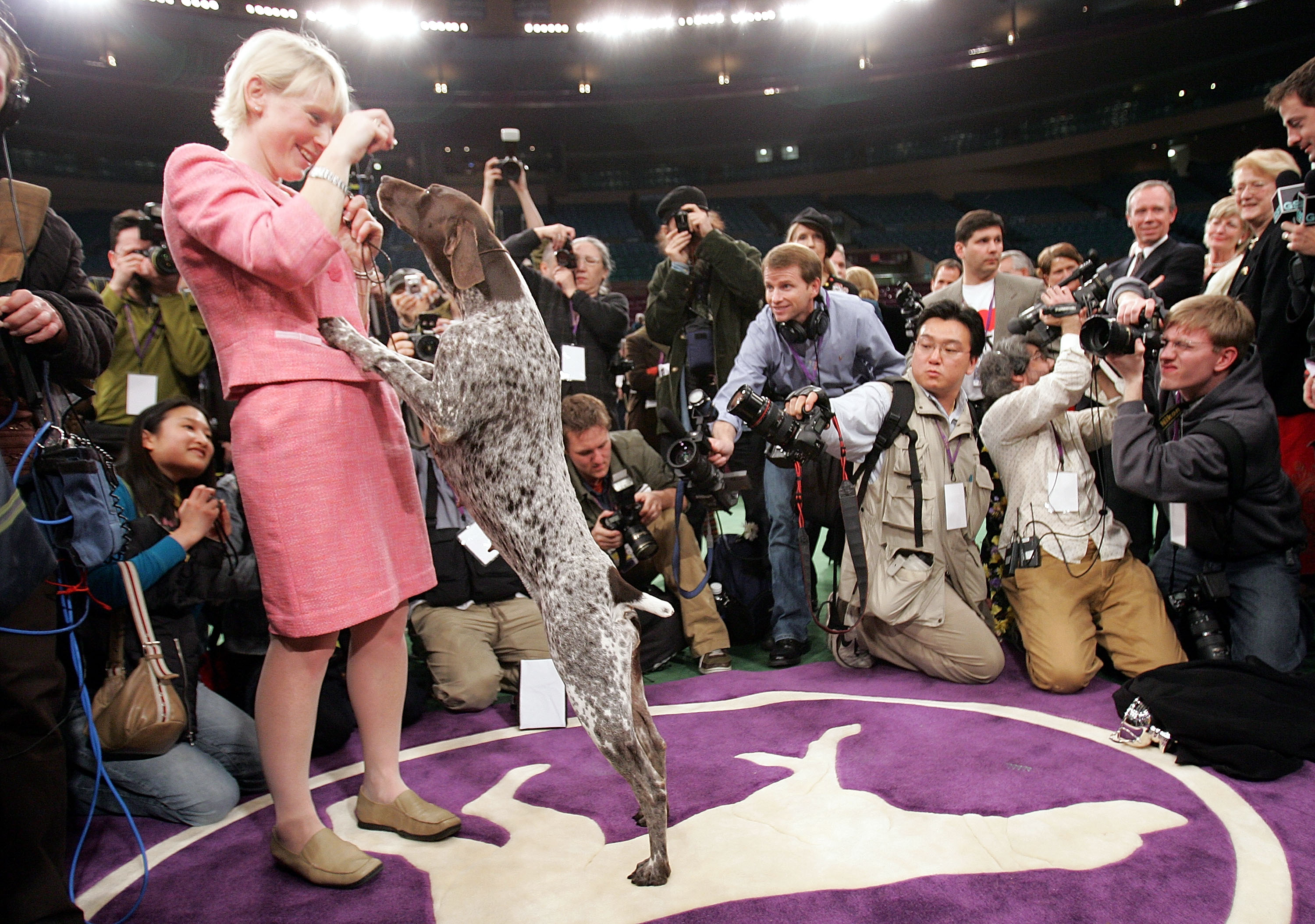 NEW YORK - FEBRUARY 15: Carlee, a German Shorthaired Pointer, celebrates with handler Michelle Ostermiller after winning the Westminster Kennel Club Dog Show's Best In Show award at Madison Square Garden February 15, 2005 in New York City. (Photo by Mario Tama/Getty Images) *** Local Caption *** Michelle Ostermiller ORG XMIT: 52196550 GTY ID: 52196550MT003_Westminster_D