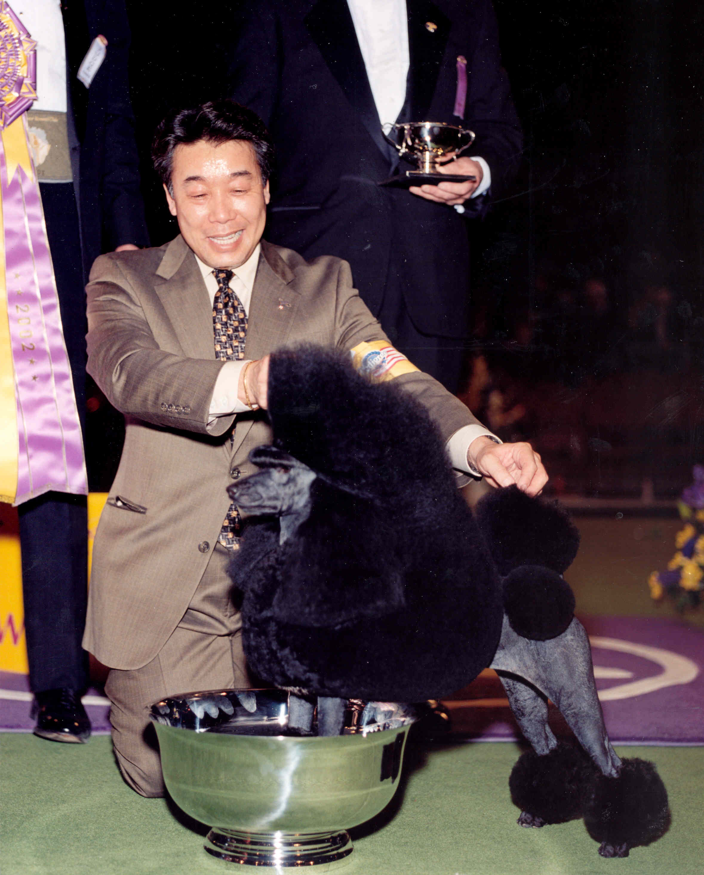2002 Westminster Best In Show winner Surry Spice Girl (a miniature poodle breed) with handler Kaz Hosaka and the winner's trophy. --- DATE TAKEN: 2002 No Byline Westminster Kennel Club , Source: Westminster Kennel Club HO - handout ORG XMIT: ZX13696