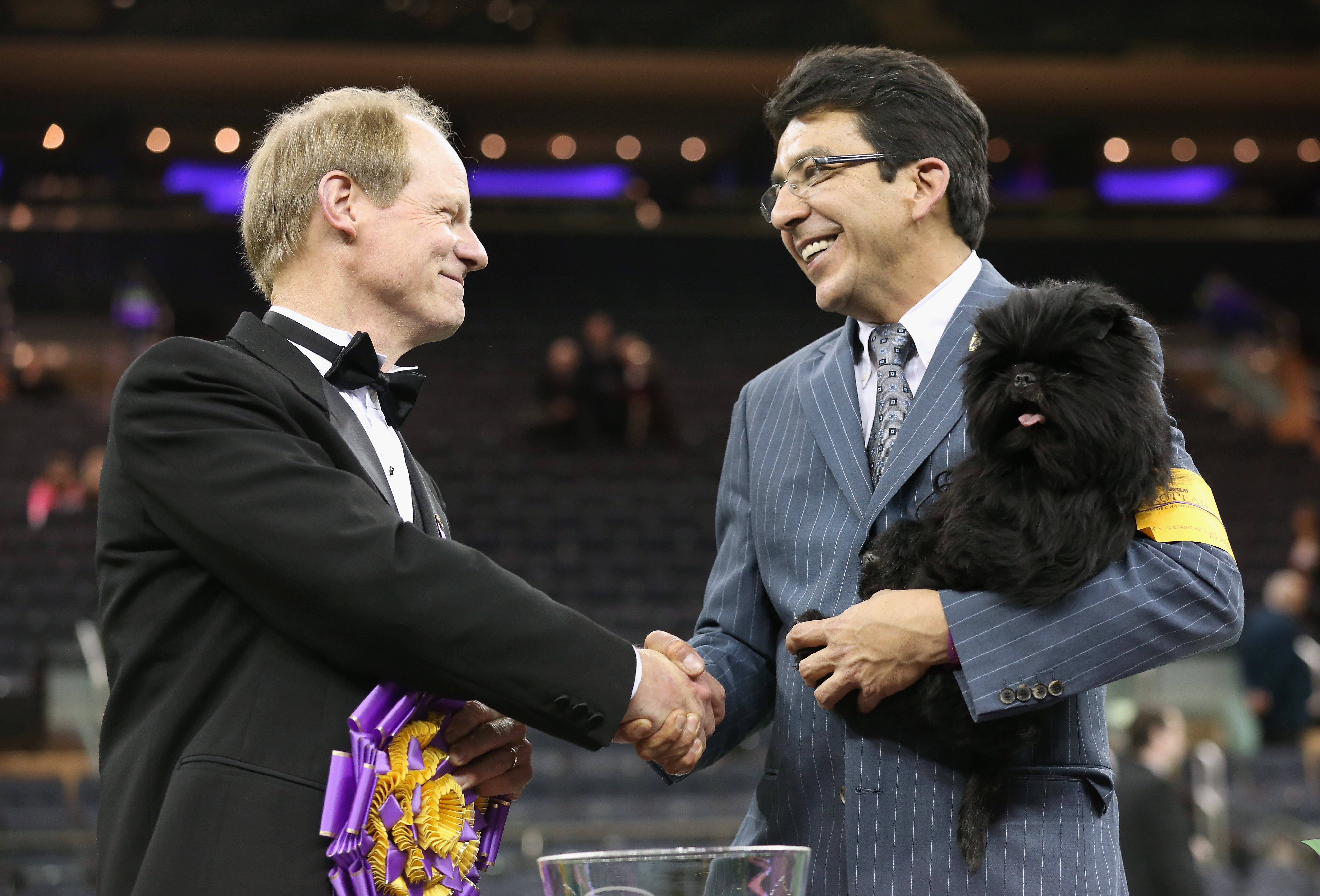 NEW YORK, NY - FEBRUARY 12: Best in Show judge Michael Dougherty (L), congratulates dog handler Ernesto Lara after his dog Banana Joe, an Affenpincher, won the 137th Westminster Kennel Club Dog Show on February 12, 2013 in New York City. A total of 2,721 dogs from 187 breeds and varieties competed in the event, hailed by organizers as the second oldest sporting competition in America, after the Kentucky Derby. (Photo by John Moore/Getty Images) ***BESTPIX*** ORG XMIT: 159729903 ORIG FILE ID: 161608571