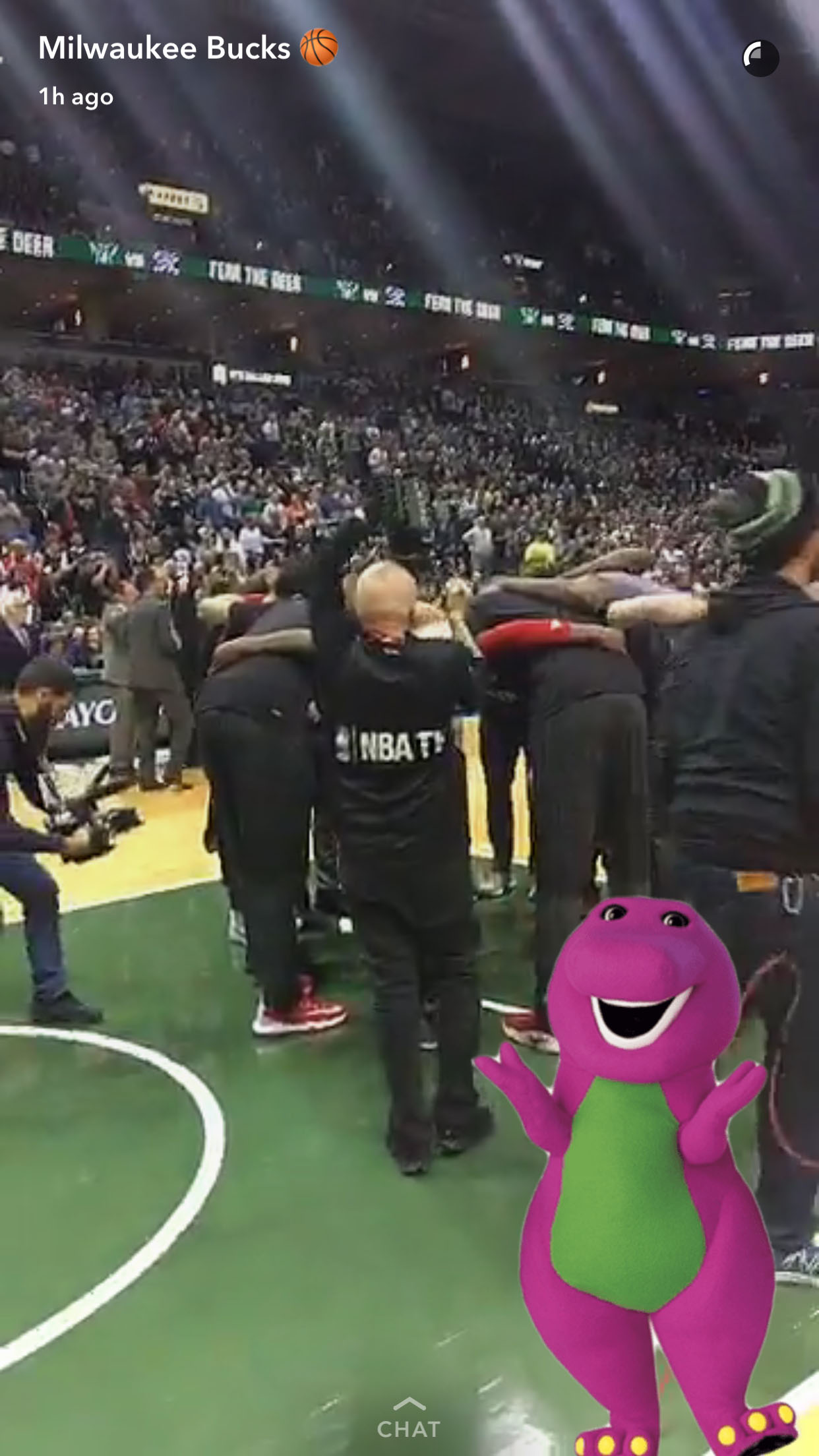 Toronto raptors hot sale barney