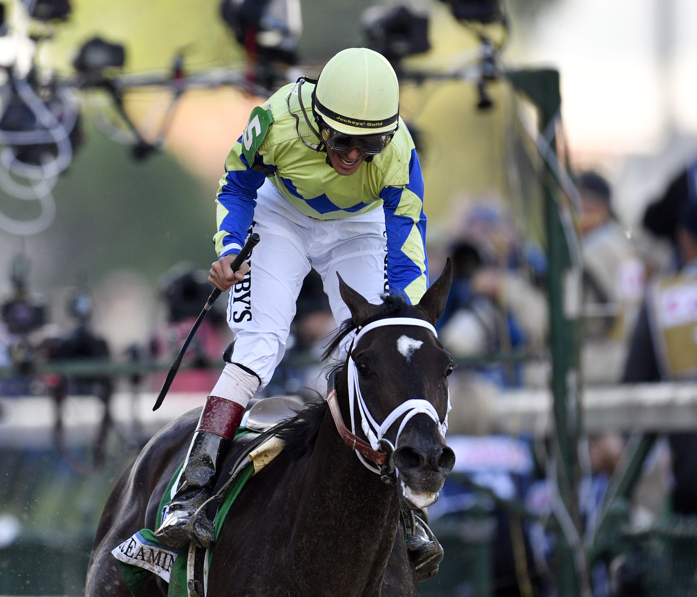 Preakness Field 2017