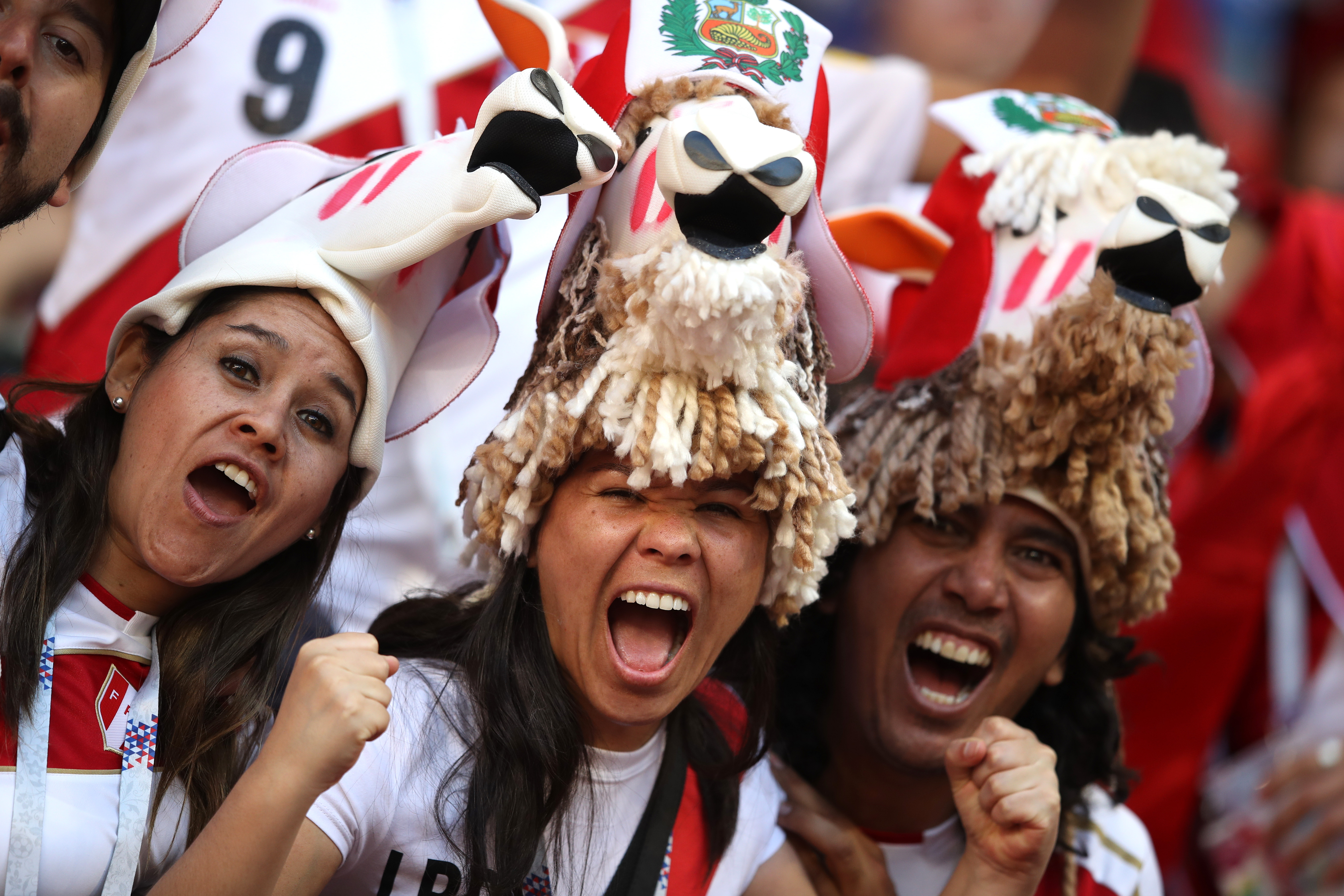 Almindelig veteran Skilt 16 outstanding photos of Peru fans from team's opening World Cup game