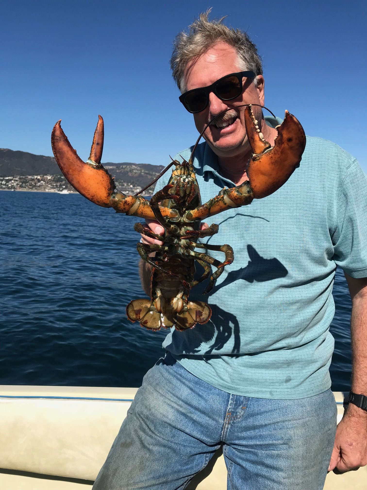 Southern California diver captures Maine lobster – how is that possible ...