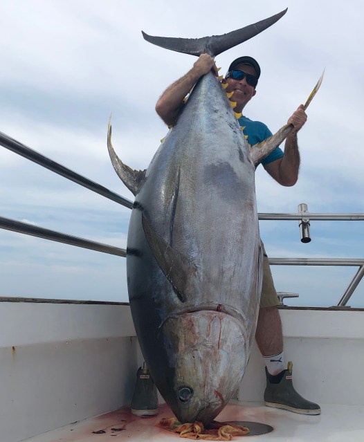 Record-size yellowfin tuna almost pulls angler overboard